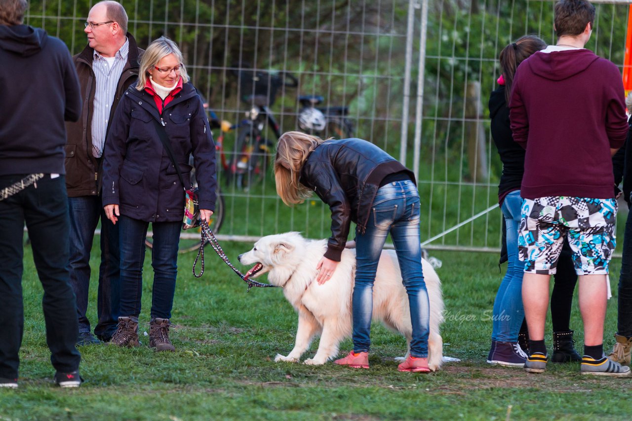 Bild 61 - Wiemersdorfer Osterfeuer